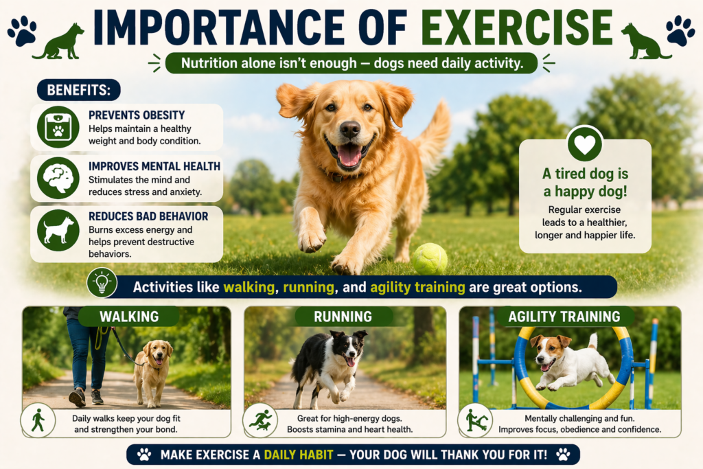 Importance of Exercise
