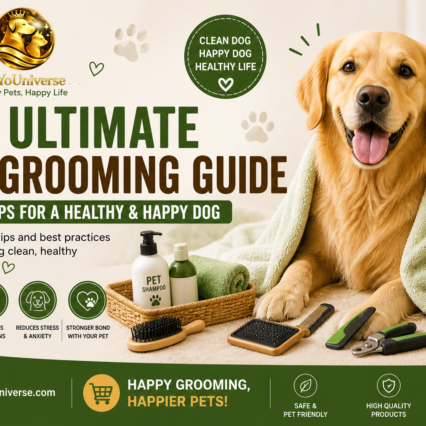 dog grooming tips at home clean healthy happy dog brushing grooming guide